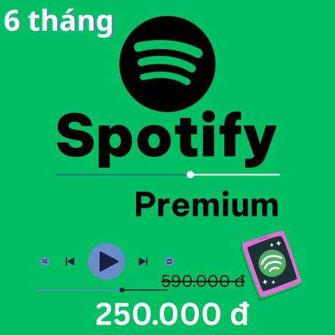 spotify premium (10)
